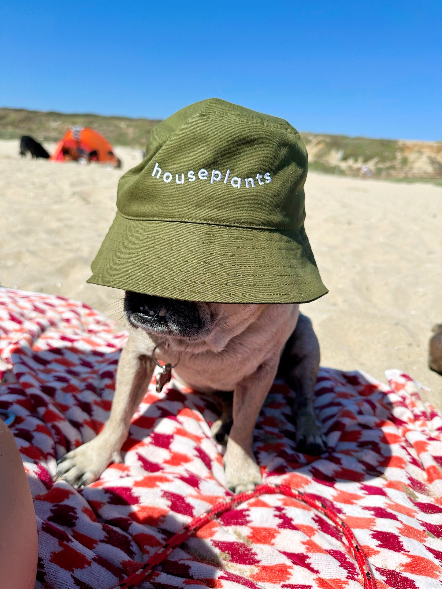Houseplants Bucket Hat