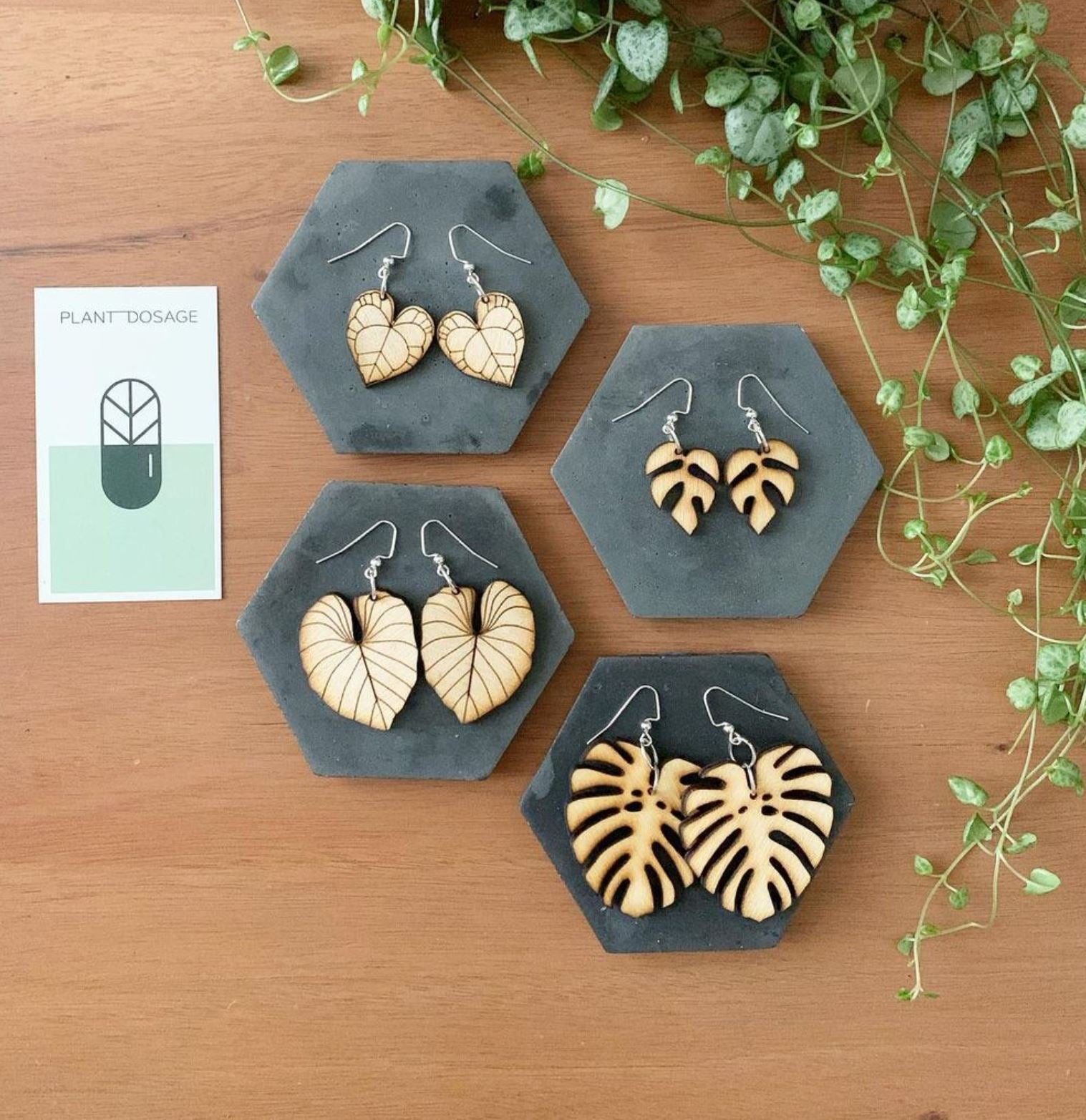 Pill Case 7 Set Plant Wooden Earrings – Plant Dosage LLC