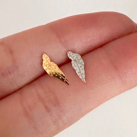 Angel Wing Begonia Metal Stud Earrings - Plant Dosage