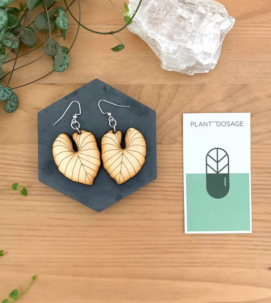 Philodendron Gloriosum Wooden Earrings