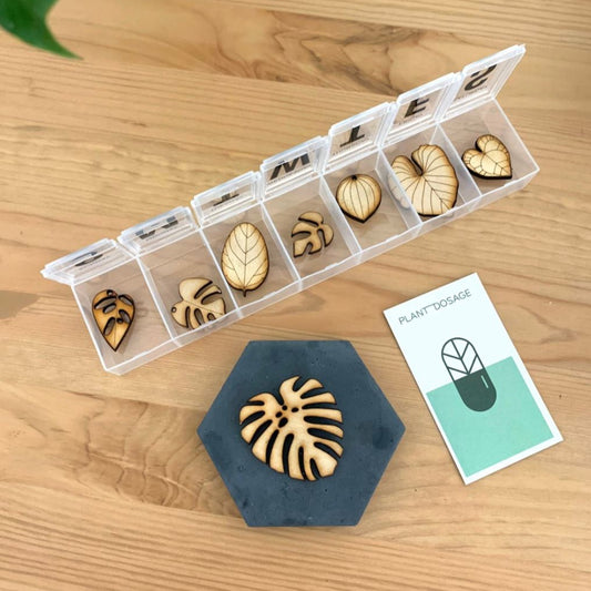 Pill Case 7 Set Plant Wooden Magnets + 1 Monstera