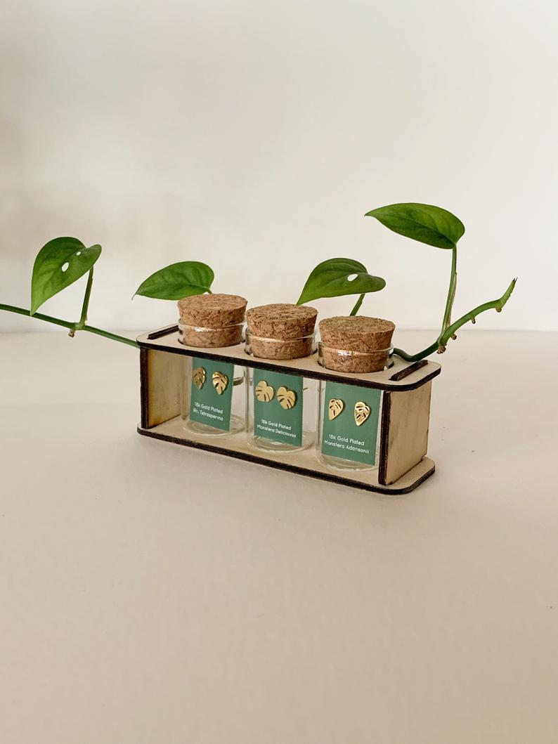 Tiny Houseplant Earring set Propagation Station- 3 pairs of earring studs
