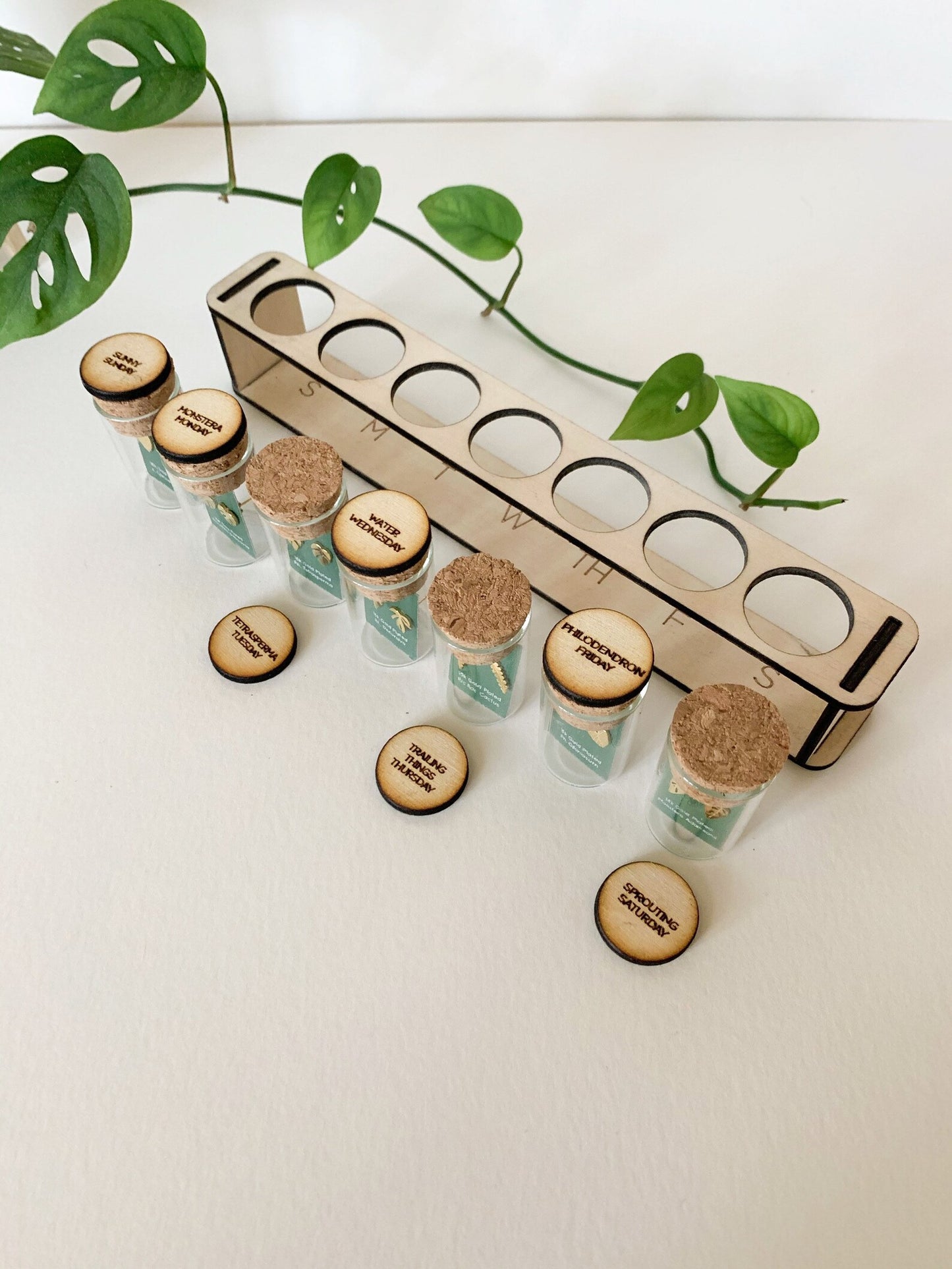 Tiny Houseplant Earring set Propagation Station- 3 pairs of earring studs