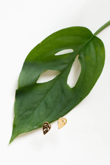 Monstera Adansonii Metal Stud Earrings - Plant Dosage